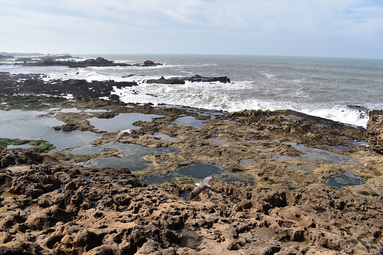 Rock pooling — baseny skalne
