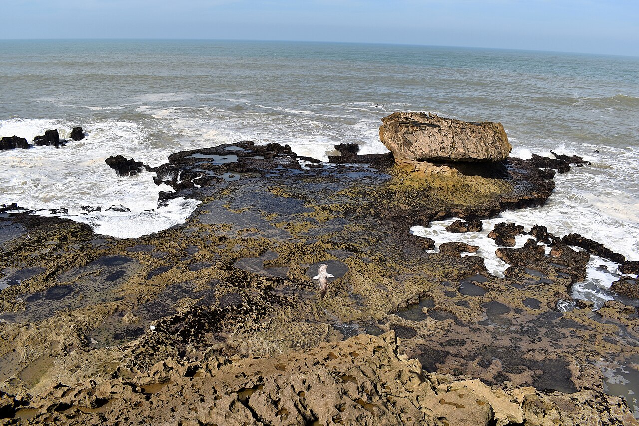 Le Chalet de la Plage